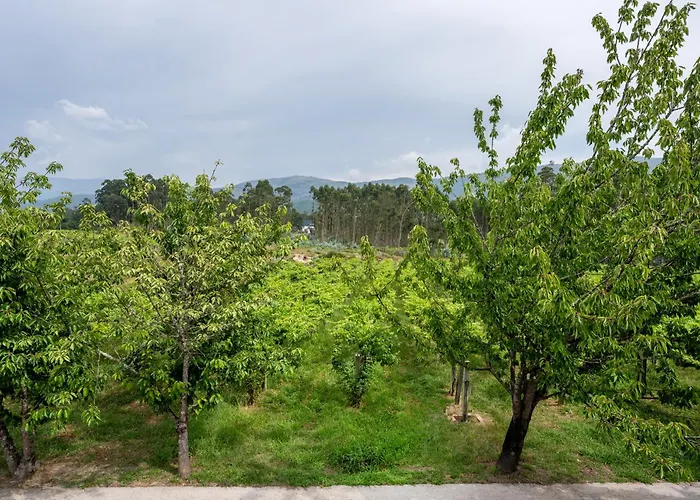 Дом отдыха Casa Cerezos